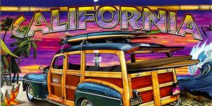 FREERIDE SURF CAMP CALIFORNIA