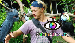 Surf Vision #9