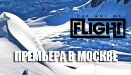 THE ART OF FLIGHT
